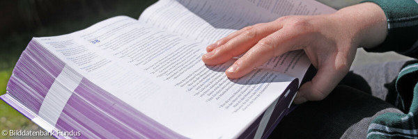 Bibel Lesen