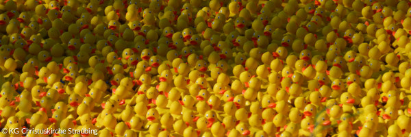 startbereite Badewannenenten